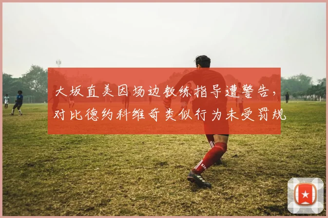 大坂直美因场边教练指导遭警告，对比德约科维奇类似行为未受罚规则执行不公