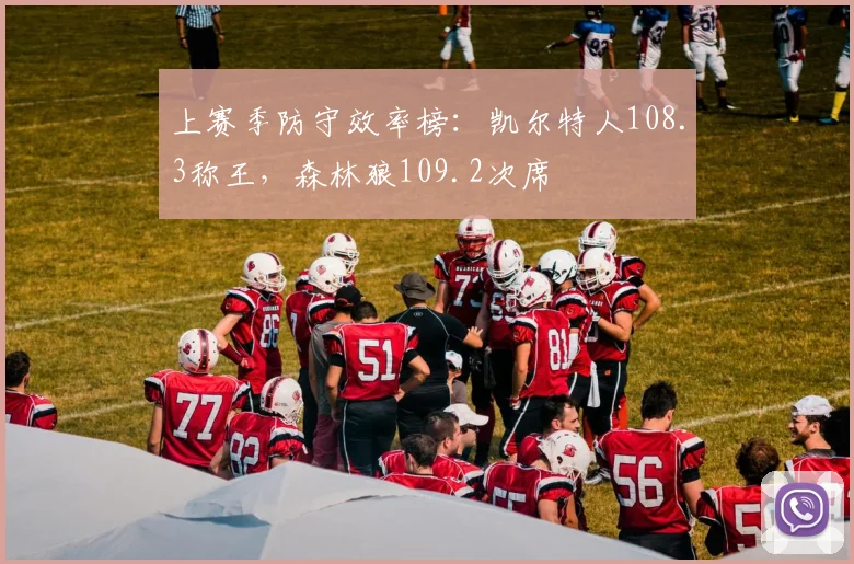 上赛季防守效率榜：凯尔特人108.3称王，森林狼109.2次席
